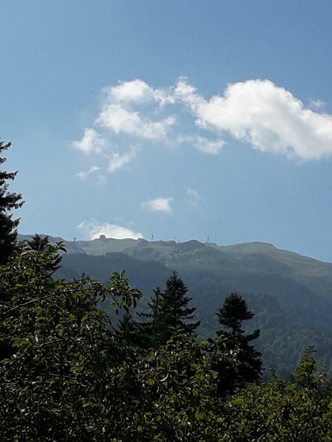 Lanobila Otel Sinaia Dış mekan fotoğraf